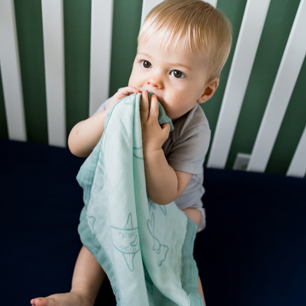 Fin-tastic Security Blanket