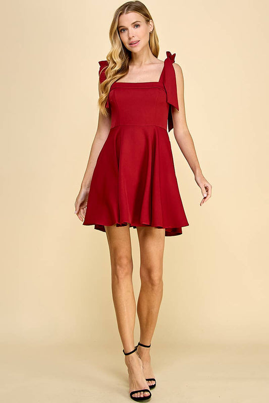 Heather Red Sleeveless Fit and Flare Party Dress