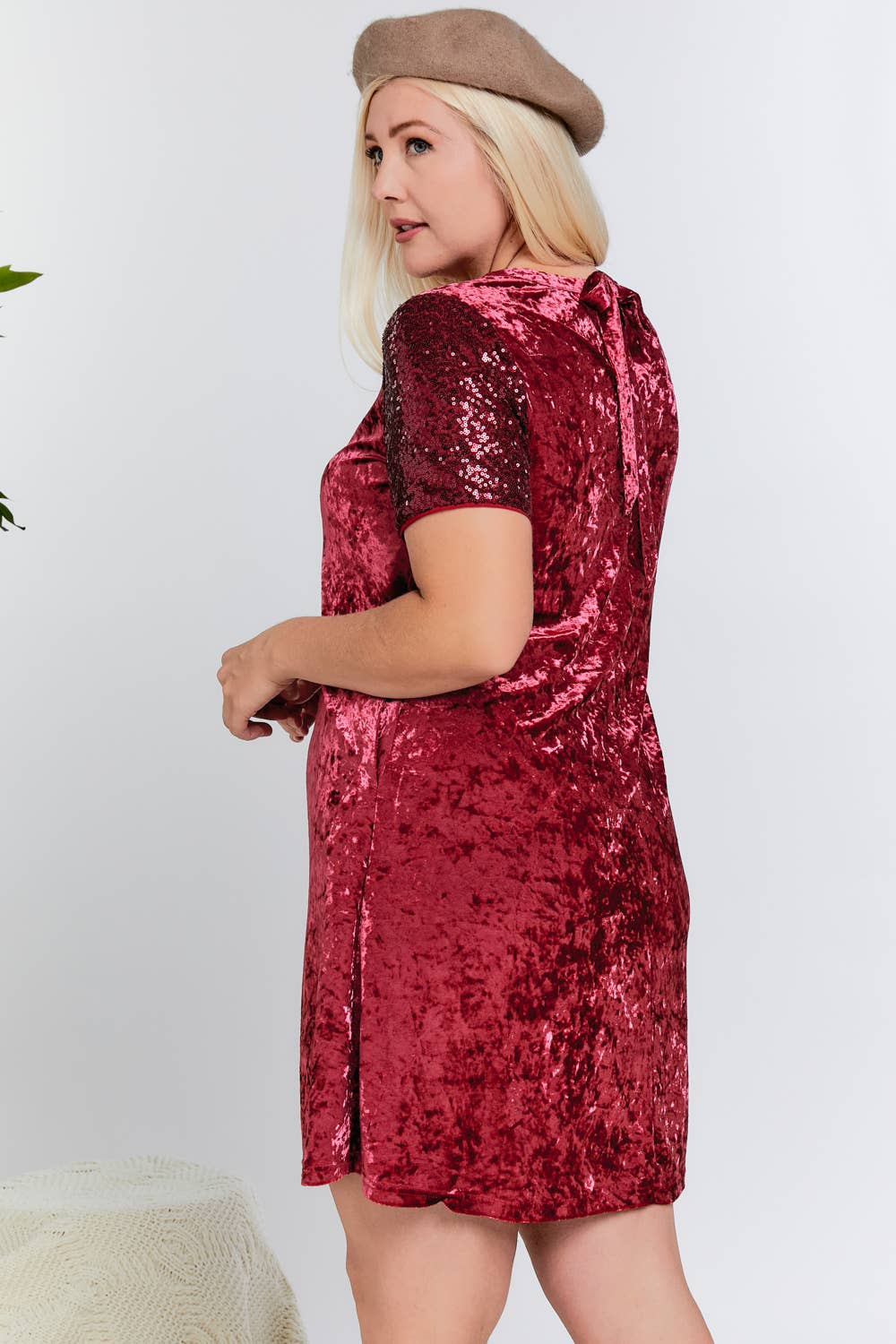 Roxanne Sequin Sleeve Velvet Dress